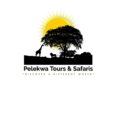 Tours and Safaris